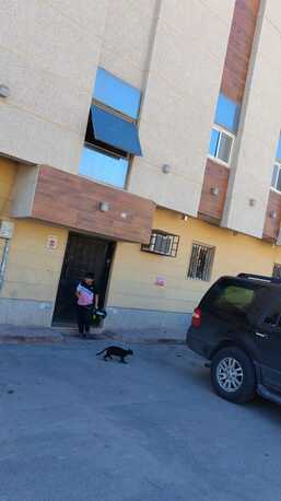 Al Malaz, Sublets, SAR 28000/year,  2 BR,  Opposite International Indian School Girls Section
