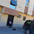 SAR 28000/year,  2 BR,  Opposite International Indian School Girls Section