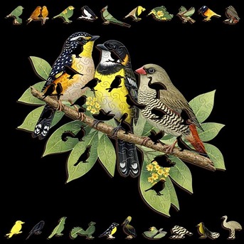 Sydney, Toys & Games, AUD 45,  Australian Songbirds Wooden Puzzle