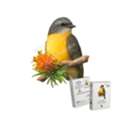 AUD 45,  Eastern Yellow Robin Wooden Puzzle