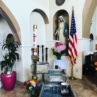 Los Angeles, Health, Mushroom Church In Santa Cruz | Spiritual Community & Healing