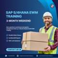 Boost Your Career With SAP S/4HANA EWM Certification!