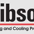 Gibson Service Center Sharjah 0564211601