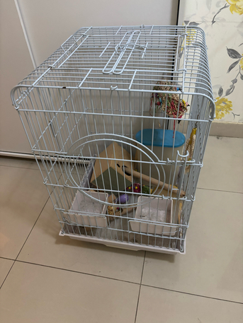 Riyadh, Household Items, SAR 100,  Bird Cage Big One With Free Bird Toys