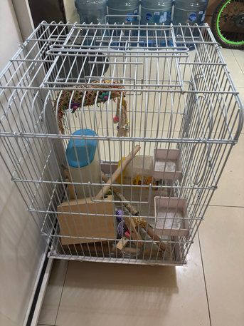 Riyadh, Household Items, SAR 100,  Bird Cage Big One With Free Bird Toys