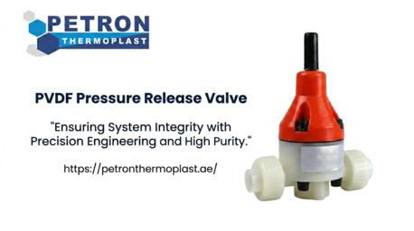Ras Al Khaimah, Business, Buy PVDF Pressure Release Valve In UAE | Petron Thermoplast