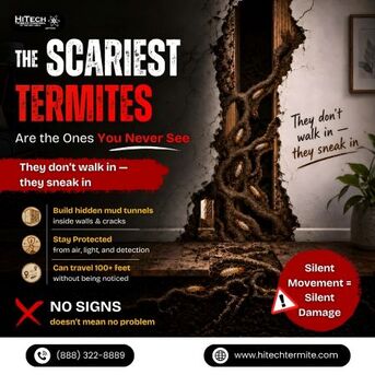 New York, Pest Control, The Scariest Termites Are The Ones You Never See