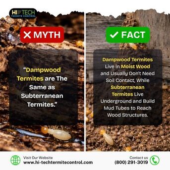 New York, Pest Control, Myth Vs Fact