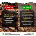 Myth Vs Fact
