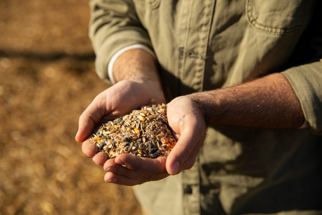 Mumbai, Materials, Buy Quality Seeds Online - Shramik Krishi Kendra