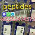 USD 20, High Purity Peptides Of Factory Direct Sale. Peptide