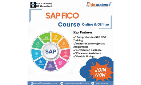 Hyderabad, Lessons Offered, SAP FICO Training In Hyderabad &ndash; Learn From Experts At Teks Academy