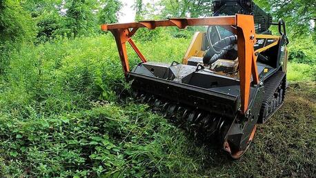 New York, Business, Professional Forestry Mowing In Hilo, Clear Your Land Efficiently
