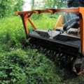 Professional Forestry Mowing In Hilo, Clear Your Land Efficiently
