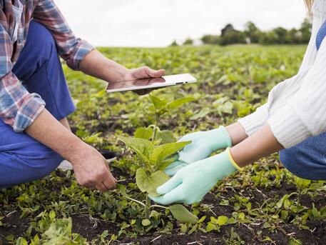 Gurgaon, Education, BSc Agriculture, Fees, Eligibility, Admission, Syllabus