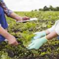 BSc Agriculture, Fees, Eligibility, Admission, Syllabus