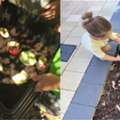 Learn Why Sustainability Matters In Child Care Centre Southern River