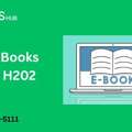 QuickBooks Error H202: Causes, Fixes & Multi-User Mode Solutions