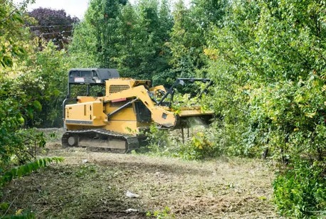 New York, Business, Eco-Friendly Organic Land Clearing In Hilo - Arborist Services