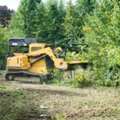 Eco-Friendly Organic Land Clearing In Hilo - Arborist Services