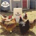 5 Gallon Poultry Waterer