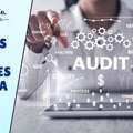 Reliable Process Audit Services For Operational Efficiency