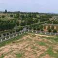 INR 12500,  183 Sq. Yard,  DTCP & RERA APPROVED OPEN PLOTS IN FUTURE CITY @ 9392311420