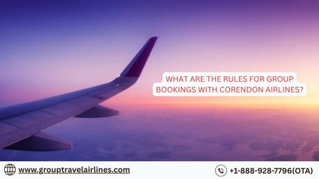 New York, Travel, What Are The Rules For Group Bookings With Corendon Airlines?