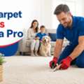 Fix Carpet Holes Fast With Trusted Carpet Repair Geelong Experts