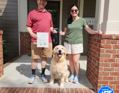 New York, Pet Sitting, Expert Dog Training Nashville | Music City K9 Training