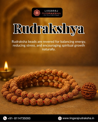 Kolkata, Business, Best Rudraksha Shop In Cuttack | Genuine & Energized Rudraksha
