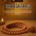 Best Rudraksha Shop In Cuttack | Genuine & Energized Rudraksha
