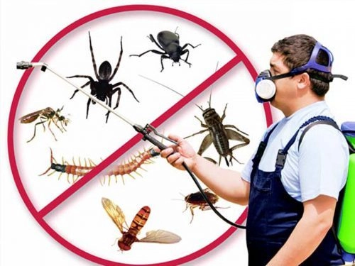 Al Iskan, Pest Control, ▪︎20Pest Control🖤cleaning Services In Riyadh♤Offer A Comprehensive Solution(0594815241)