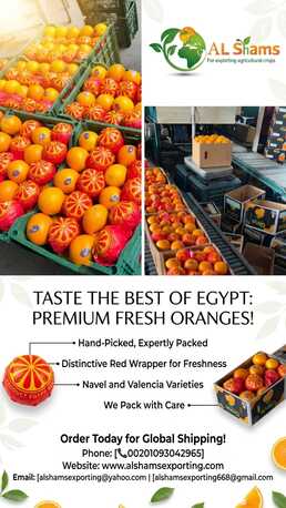 Moscow, Farm & Garden, Fresh Orange