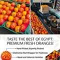 Fresh Orange