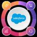 Expert Salesforce Consulting Company For Business Growth