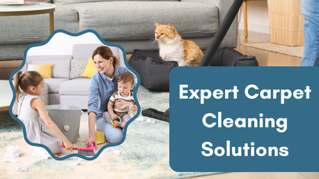 Sydney, Cleaning, Carpet Cleaning Hurstbridge Fresh, Clean Carpets Today