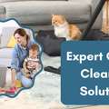 Carpet Cleaning Hurstbridge Fresh, Clean Carpets Today