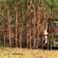 Forestry Clearing Services Across The Big Island