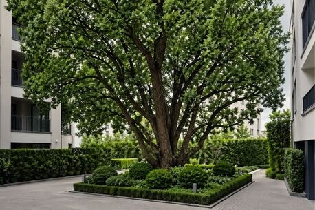 Chicago, Farm/Garden, Big Trees, Small Spaces? No Problem