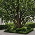 Big Trees, Small Spaces? No Problem