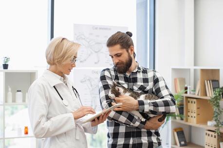 New York, Health, Affordable Cat Vaccination In Encino &mdash; Trusted Care For Your Feline Friend