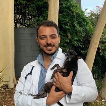 New York, Health, Affordable Cat Vaccination In Encino &mdash; Trusted Care For Your Feline Friend