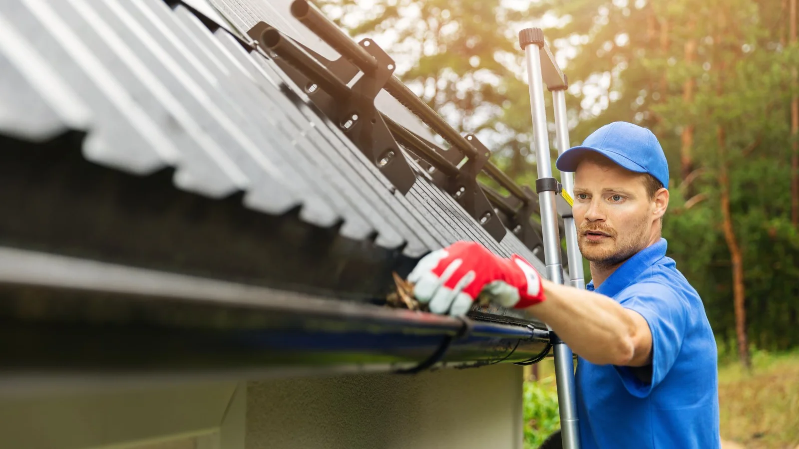 Auckland, Cleaning, Reliable Gutter Cleaning Services In Ashhurst | Kiwi Clean And Green