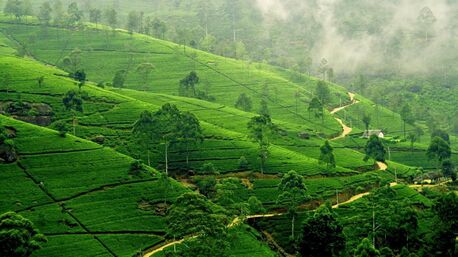 New Delhi, Travel, South India Tour Packages &ndash; Explore Kerala Backwaters & Cultural Destinations