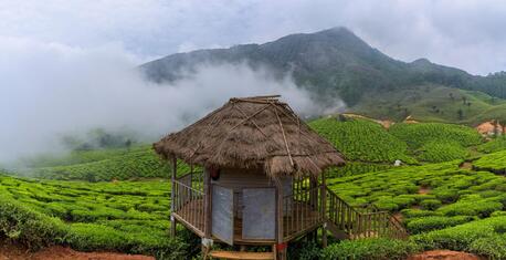 New Delhi, Travel, South India Tour Packages &ndash; Explore Kerala Backwaters & Cultural Destinations