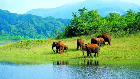 New Delhi, Travel, South India Tour Packages &ndash; Explore Kerala Backwaters & Cultural Destinations