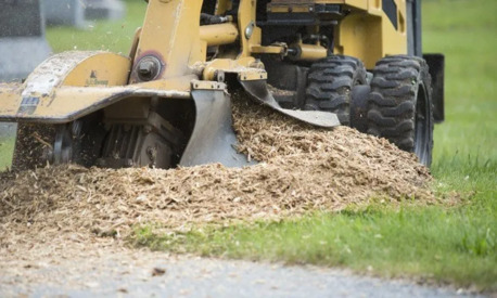 New York, Business, Tip Top Tree Service