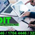 Vulnerability Auditor And Recovery Plan