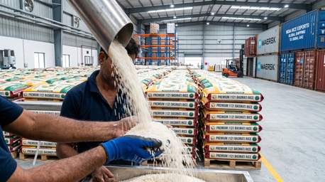 Haryana, Food, Trusted Indian Basmati Rice Exporter From India